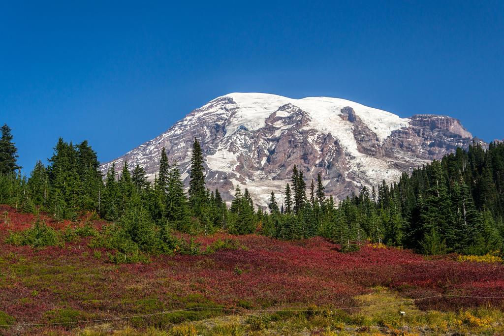 Cases Roses Эс-Кало Экстерьер фото